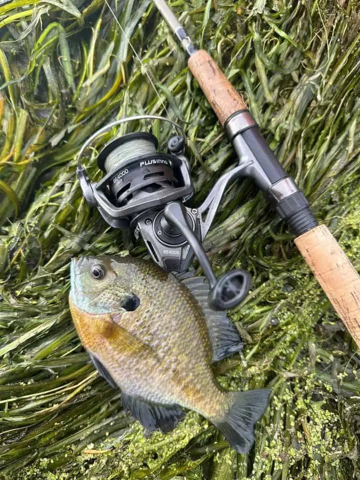 Spinning Reel 101 - Guide to Understanding What the Numbers Mean on a Plusinno Spinning Reel 101 - Guide to Understanding What the Numbers Mean on a Plusinno