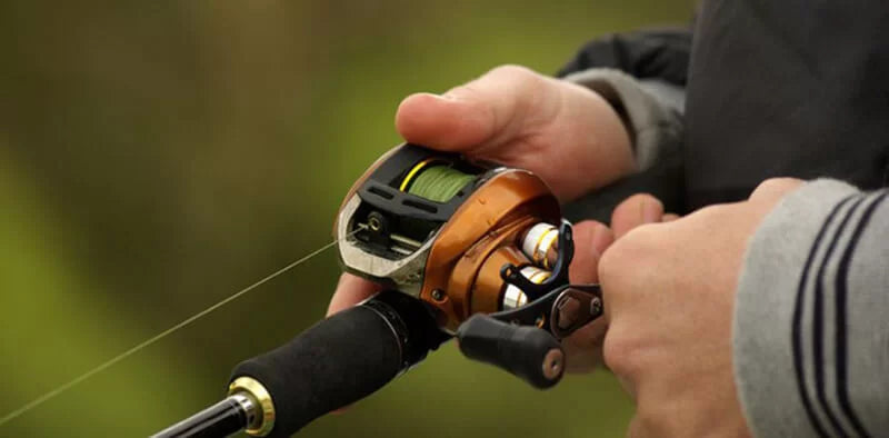 Eye-Opening Perspective: How Left-Handed Reels Make Righties Better An –  Plusinno