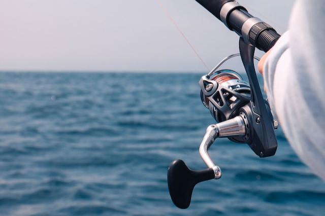 Spinning Reel 101 - What Are the Visible Parts of a Spinning Reel?