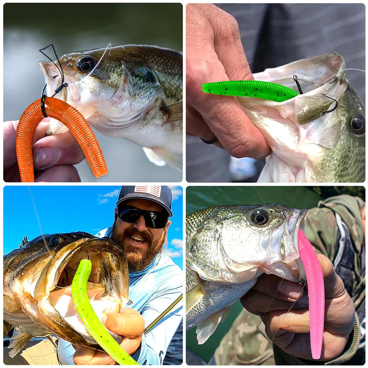 What Is the Difference between Fishing Lures and Baits?