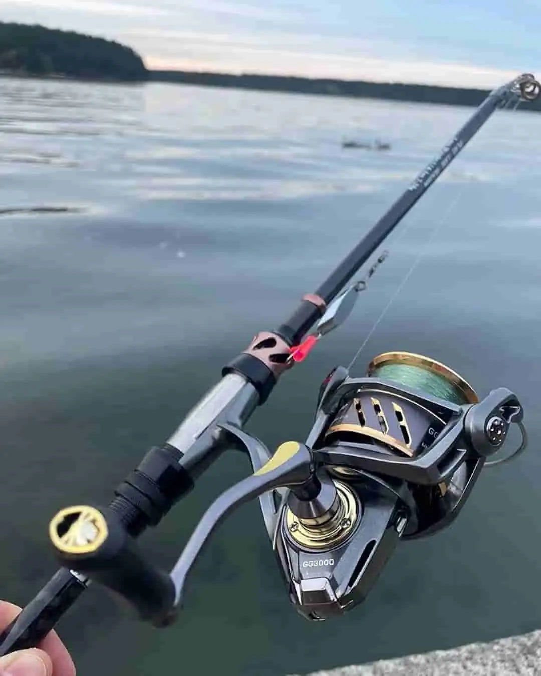 New Rod Guide to Selecting the Telescopic Fishing Rod (2024) – Plusinno