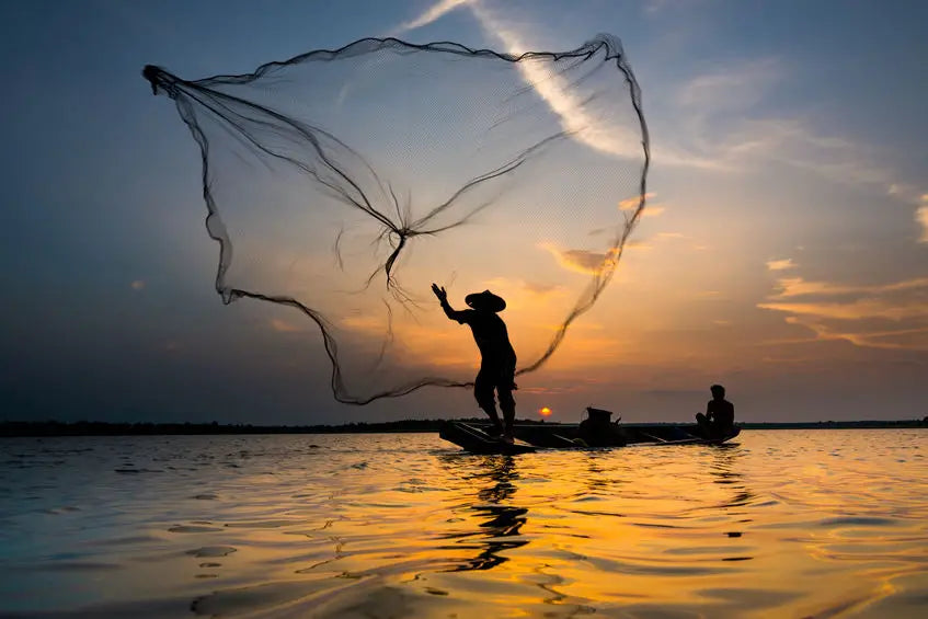 Cast Net: How to Maintain It and Keep it in a Good Condition