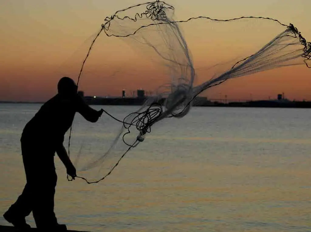 What Is the Difference Between a Cast Net and a Hoop Net?