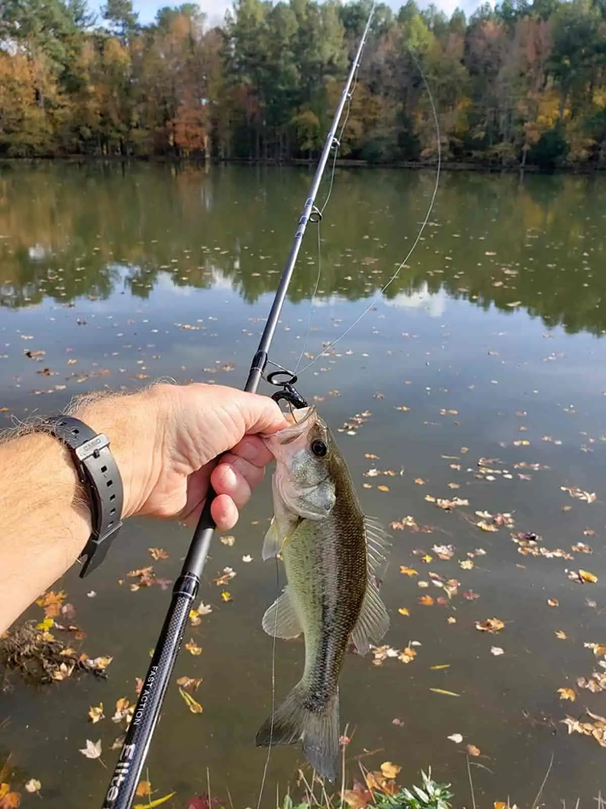 How to Choose the Right Fishing Rod: Spinning vs. Baitcasting