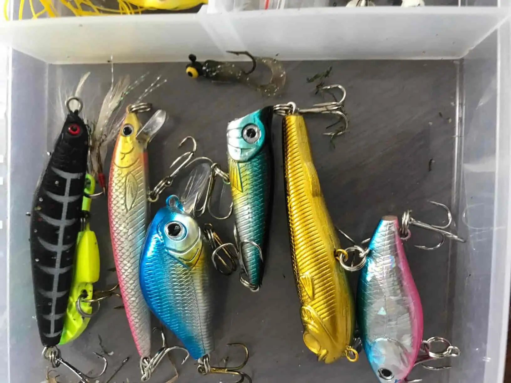 Tips for Using Plug Fishing Lures