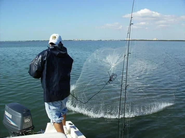How to Use a Cast Net for Saltwater Fishing