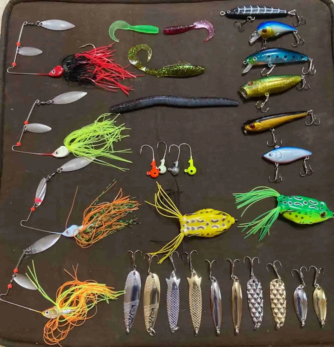 Which Fishing Lure Should You Buy In 2022?