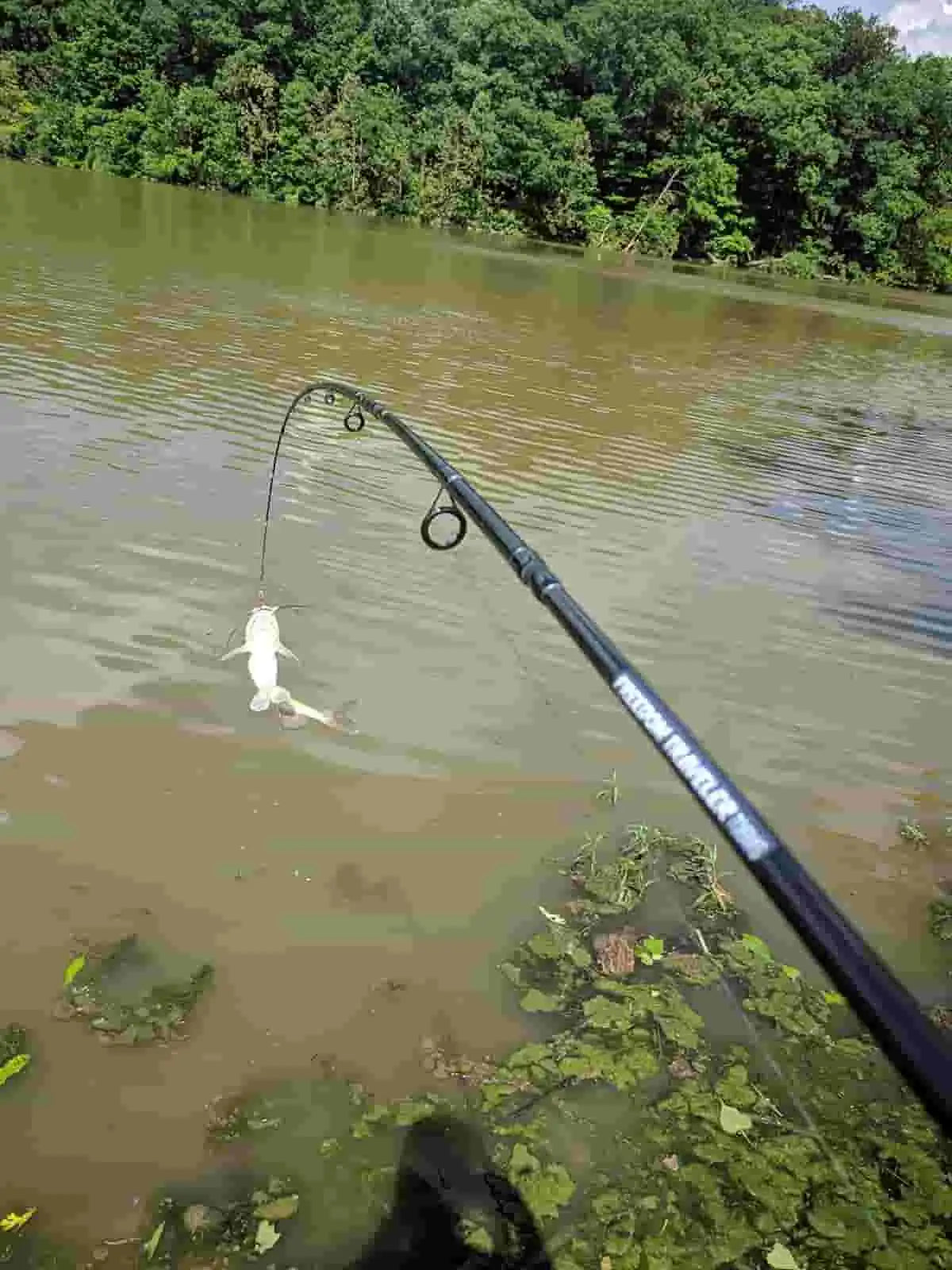 Tips for Bank Fishing in Spring