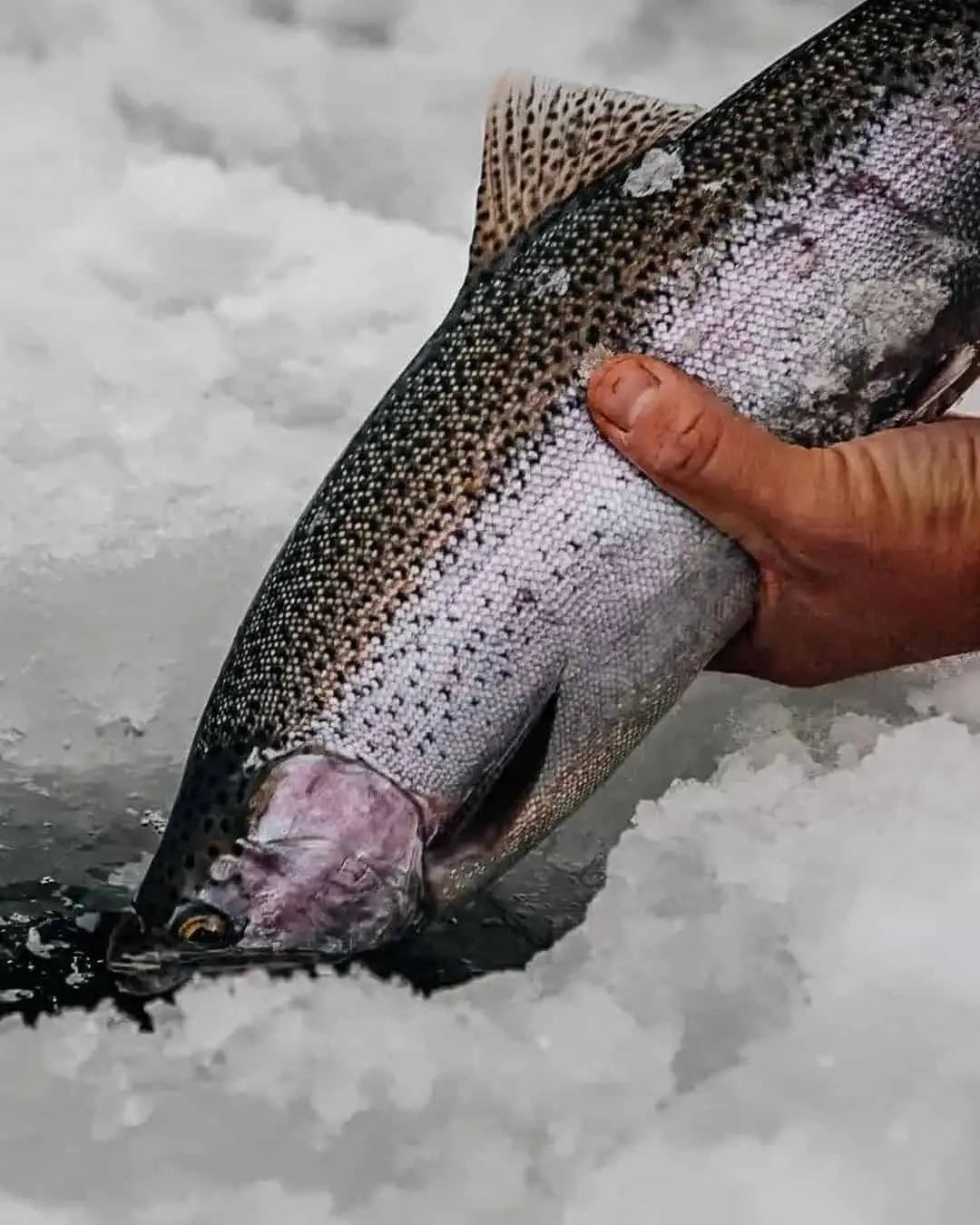 Essential Gear for Ice Fishing: A Comprehensive Guide
