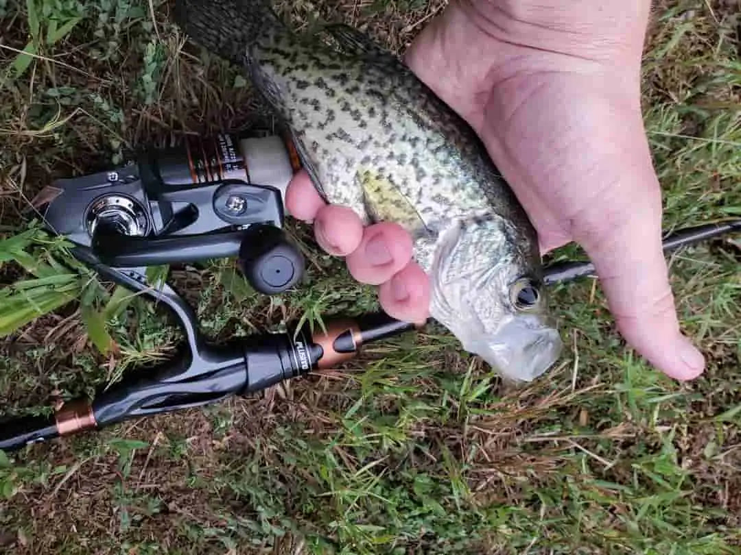 Early Spring Crapping Fishing Tips for Beginners