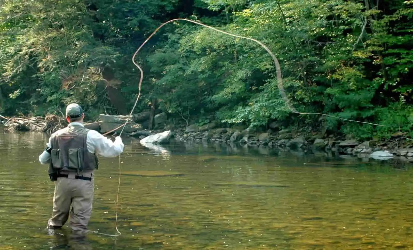 Fly Fishing 101