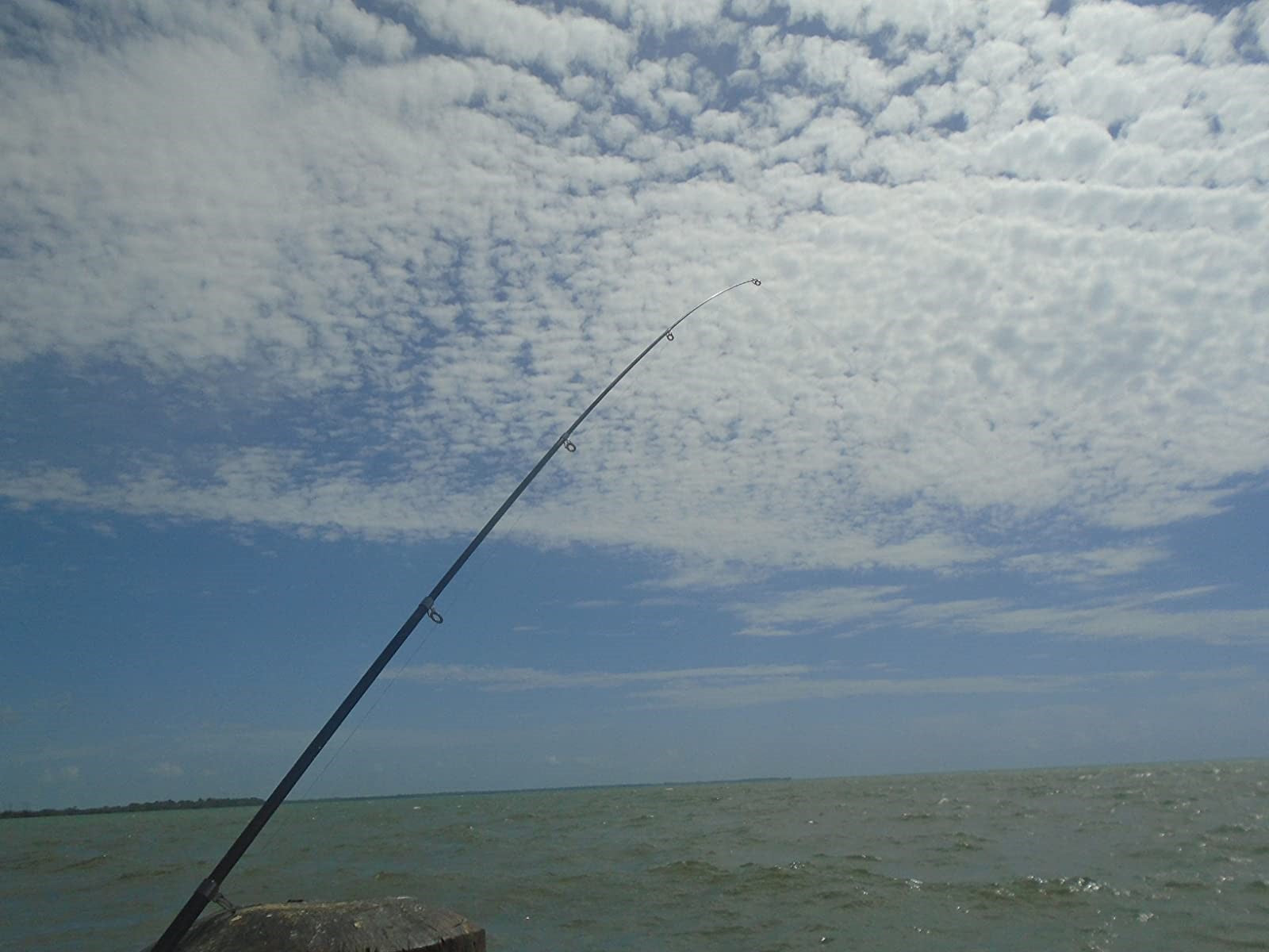 Saltwater Fishing Guide: Essential Tips and Information
