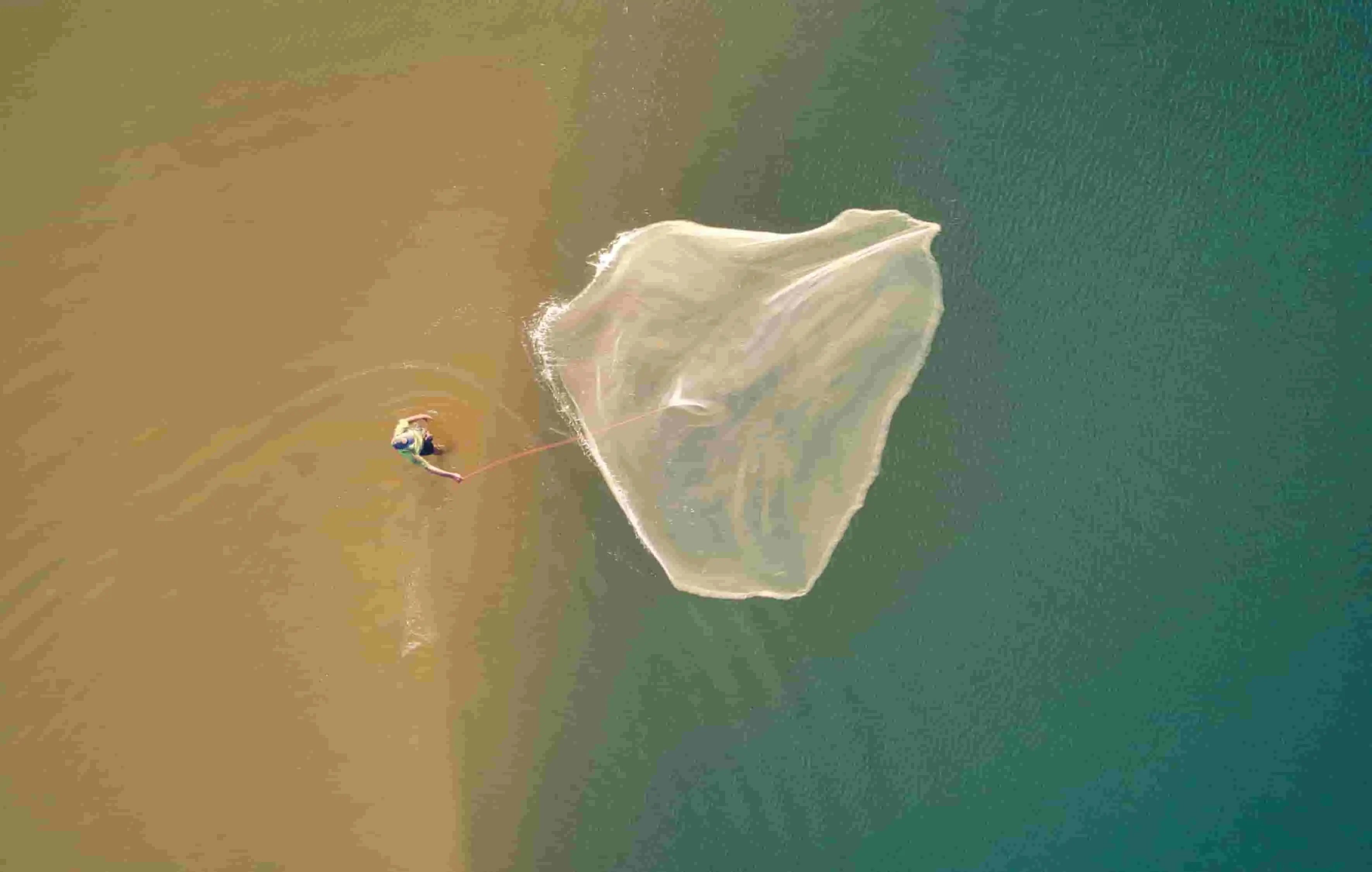 What is a Cast Net and How to Use it – Plusinno