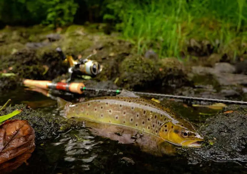 How to String a Fishing Pole