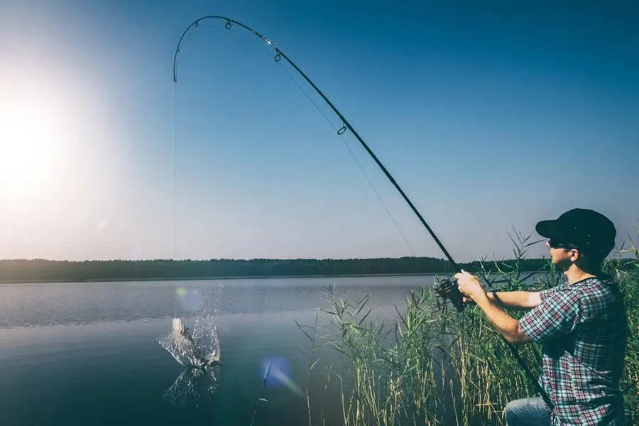 What Should I Look For When Buying A Fishing Rod