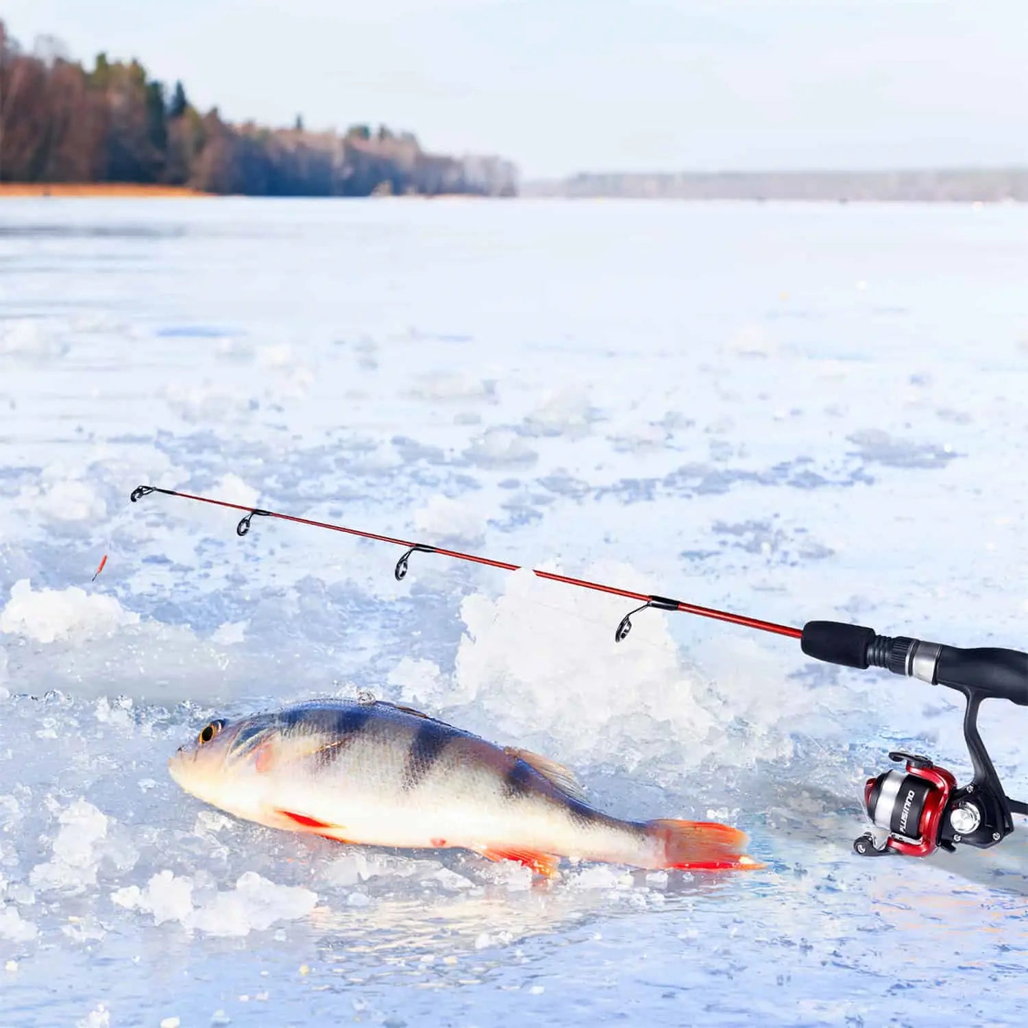 PLUSINNO ICE Ⅰ Canne à pêche sur glace Moulinet Peigne Kit complet